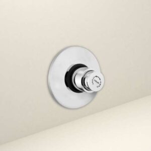 Flush Valve