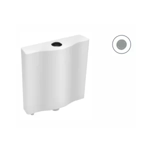 Flushing Cistern with Dual Flush