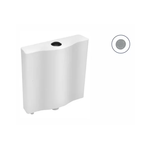 Flushing Cistern with Dual Flush
